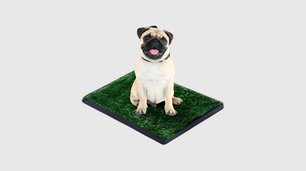 Honden toilet