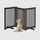 Hond