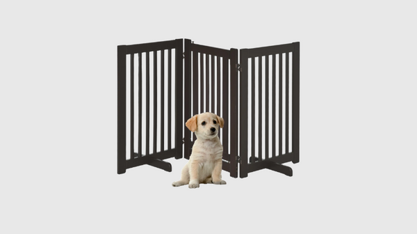 Hond