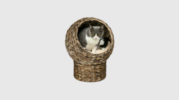 Kat