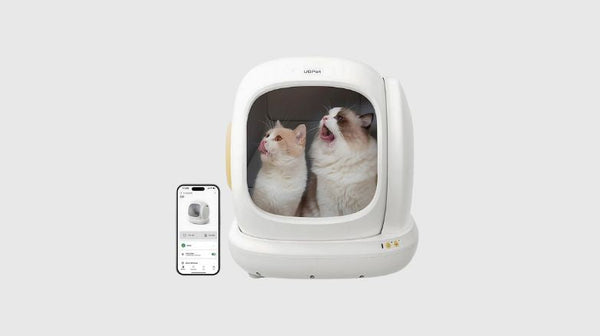 Kattenbak