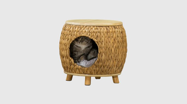 Kattenmand