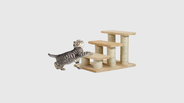 Kattentrap