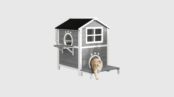 Kattenhuis buiten