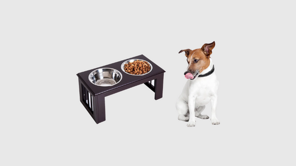 Voerbak hond