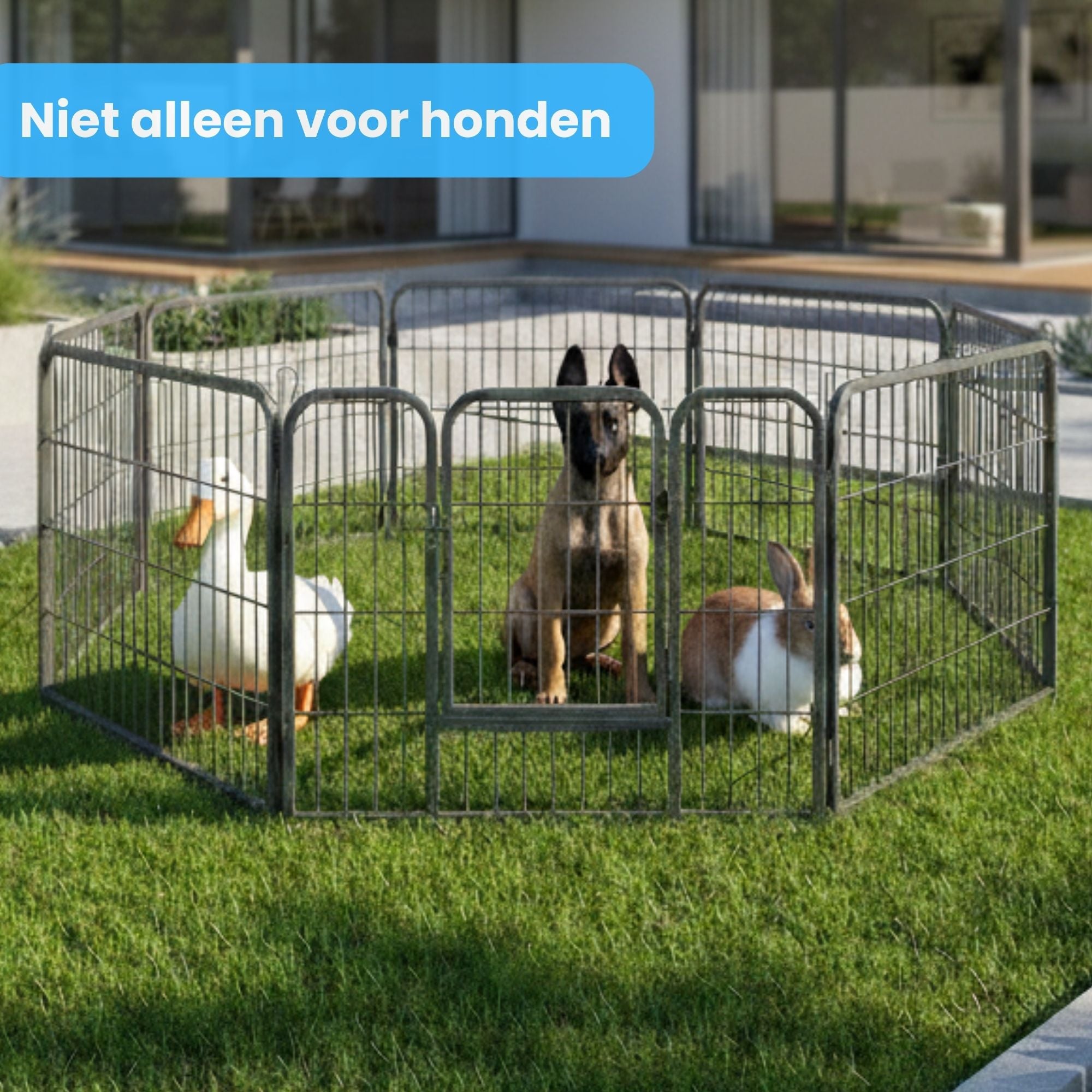 Ruime stalen puppyren van 60 cm hoog L – ideaal als veilige en veelzijdige hondenren of kennel | Zenzee
