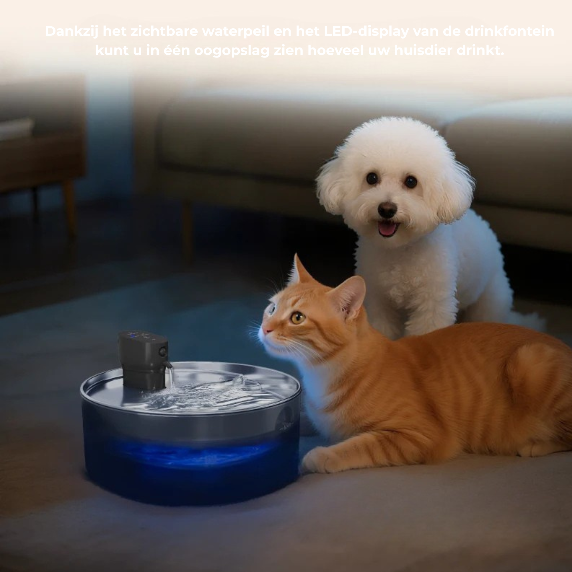 Honden- en kattenfontein 7 liter met stille pomp en led voor kat en hond