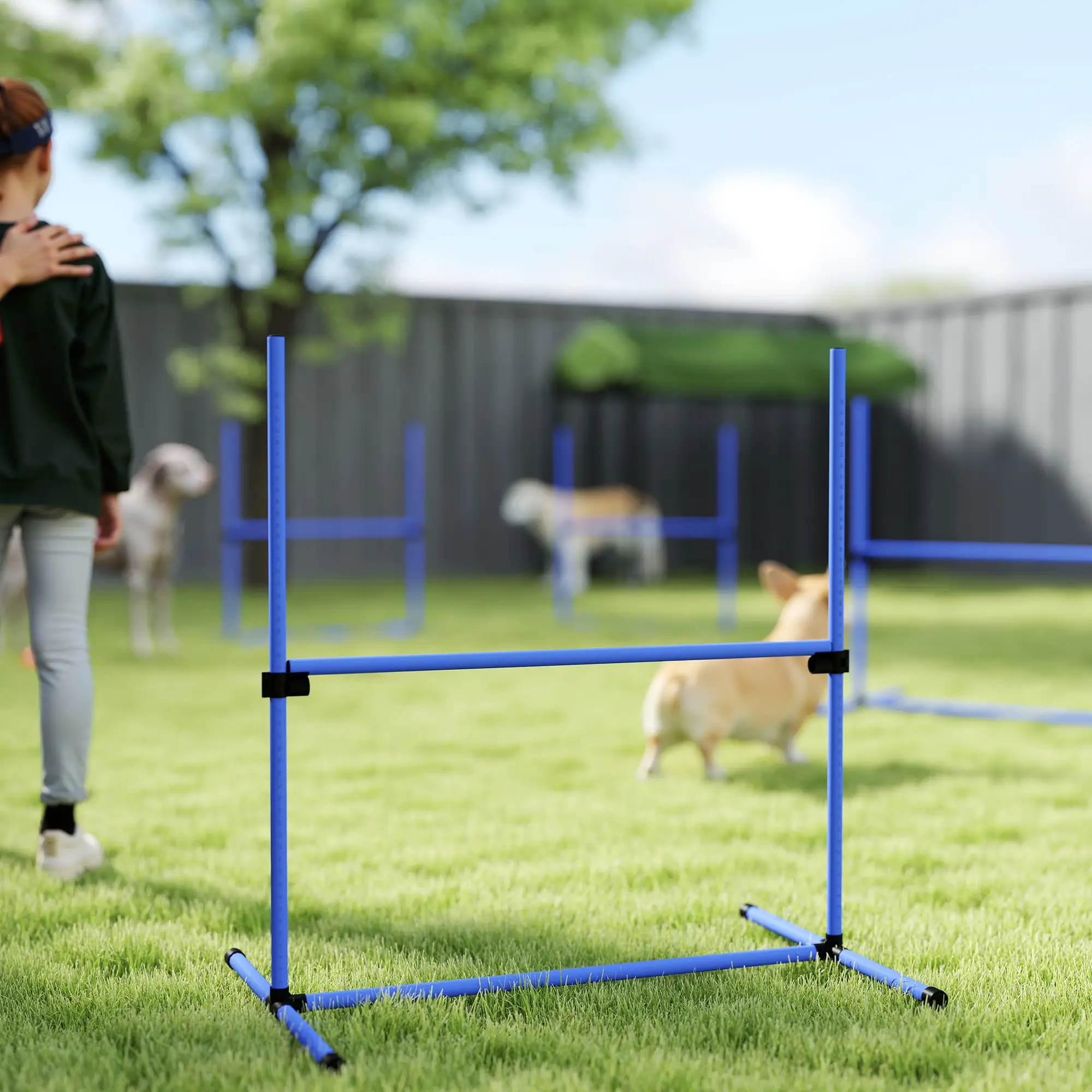 Honden agility set 4 delig met verstelbare hindernissen en springring voor training van behendigheid en snelheid