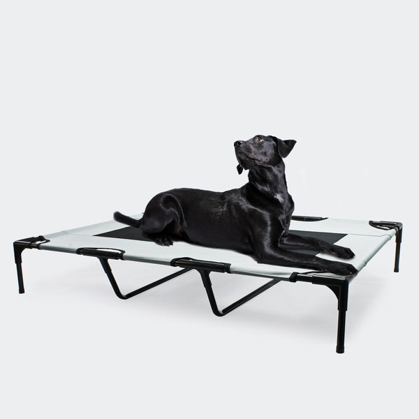 Groot hondenligbed grijs XXL 122x92x23 cm – Comfort voor grote honden | Zenzee