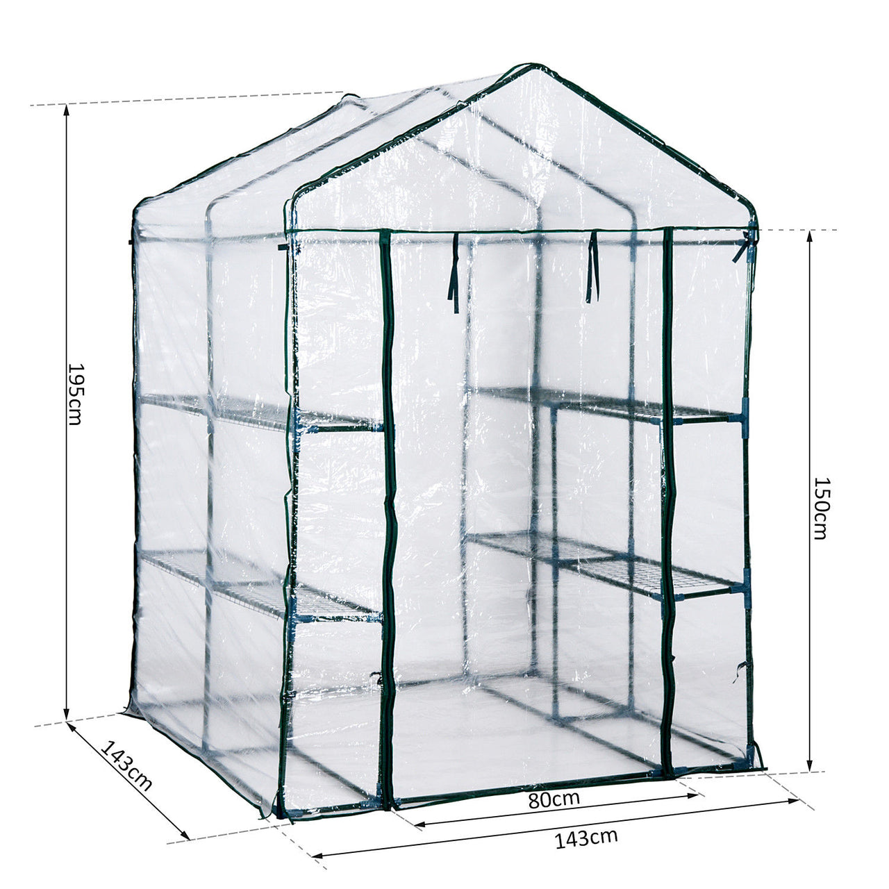 Ruime planten- en tuinkas met schappen – 143x143x195 cm