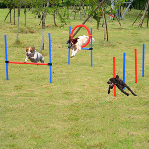 Honden agility set rood/blauw – perfect voor behendigheidstraining en hondenactiviteit met verschillende hindernissen buiten