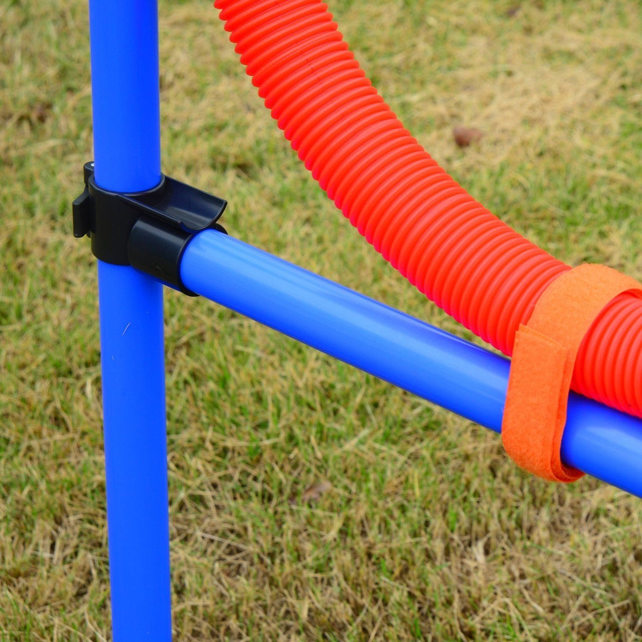 Honden agility set rood/blauw – perfect voor behendigheidstraining en hondenactiviteit