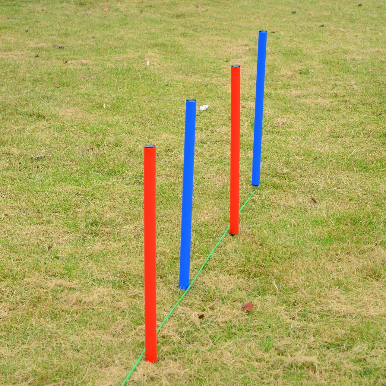 Honden agility set rood/blauw – perfect voor behendigheidstraining en hondenactiviteit