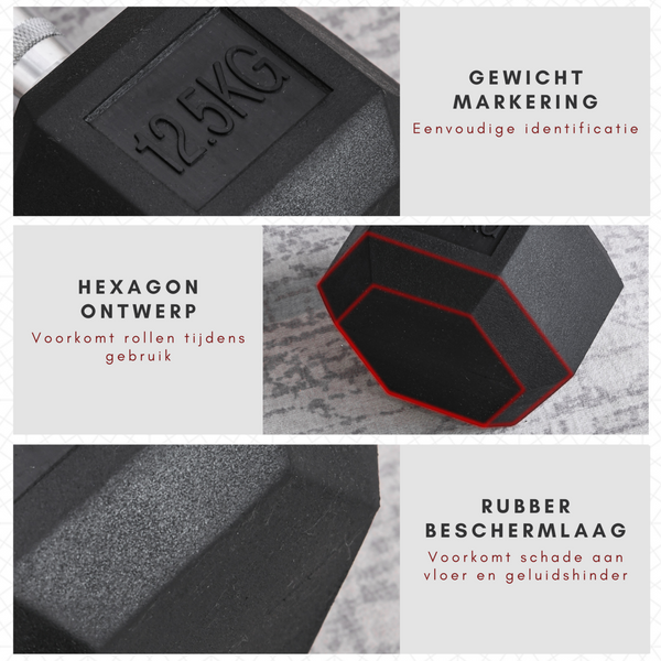 Hexa dumbbell 12,5 kg met duurzame rubberen coating en stalen grip voor stabiele training