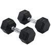 Hexa dumbbell set van 2 x 10 kg – Voor krachttraining & fitness