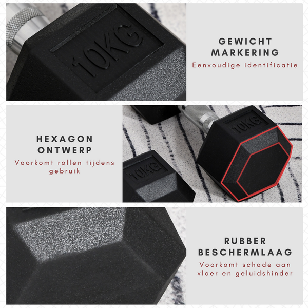 Hexa dumbbell set van 2 x 10 kg – Voor krachttraining & fitness