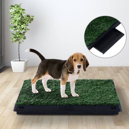 Puppytoilet trainingsmat 63x51x6 cm waterafstotend voor effectieve zindelijkheidstraining