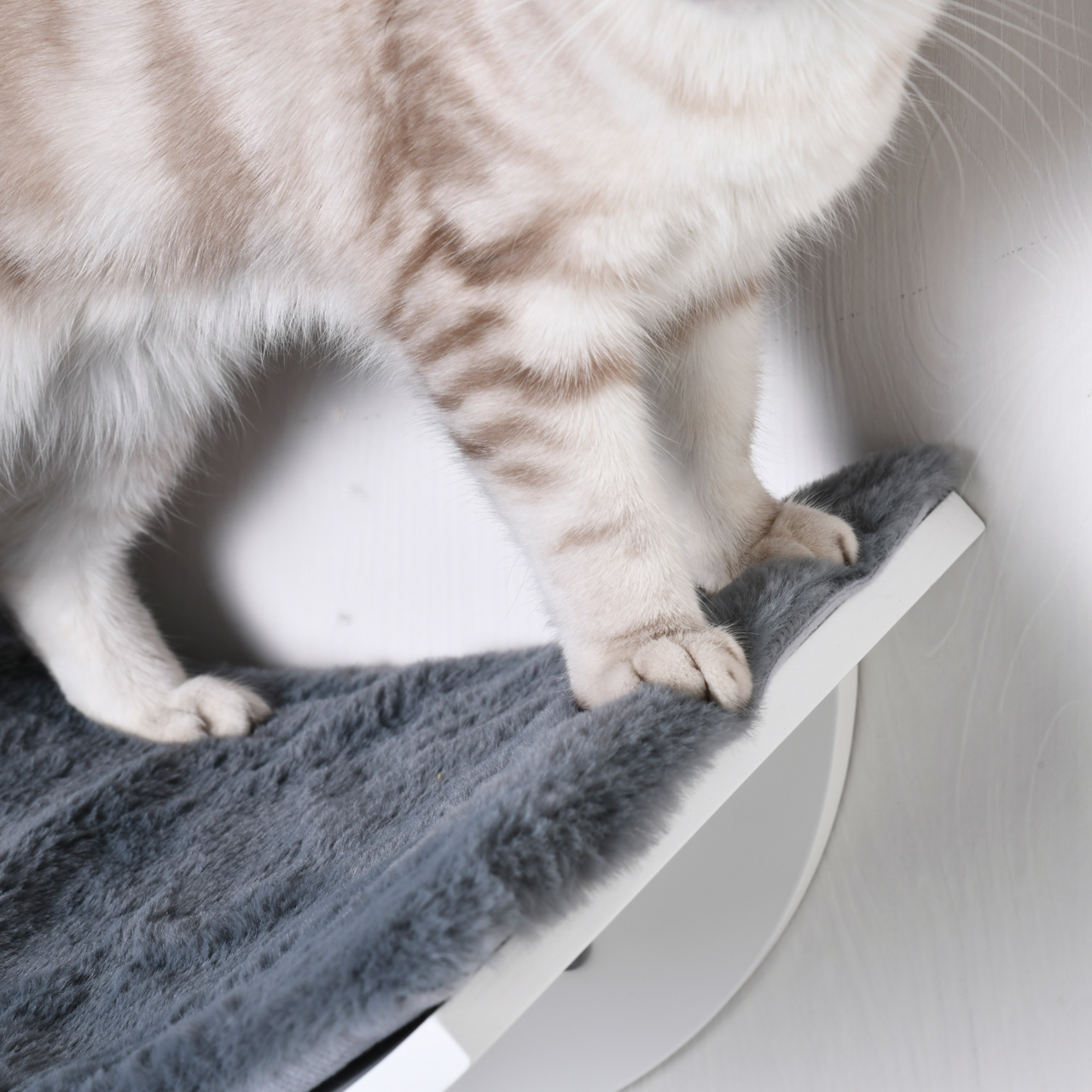Wit MDF kattenbed met wandmontage en wasbare kussen voor comfortabel kattenplezier