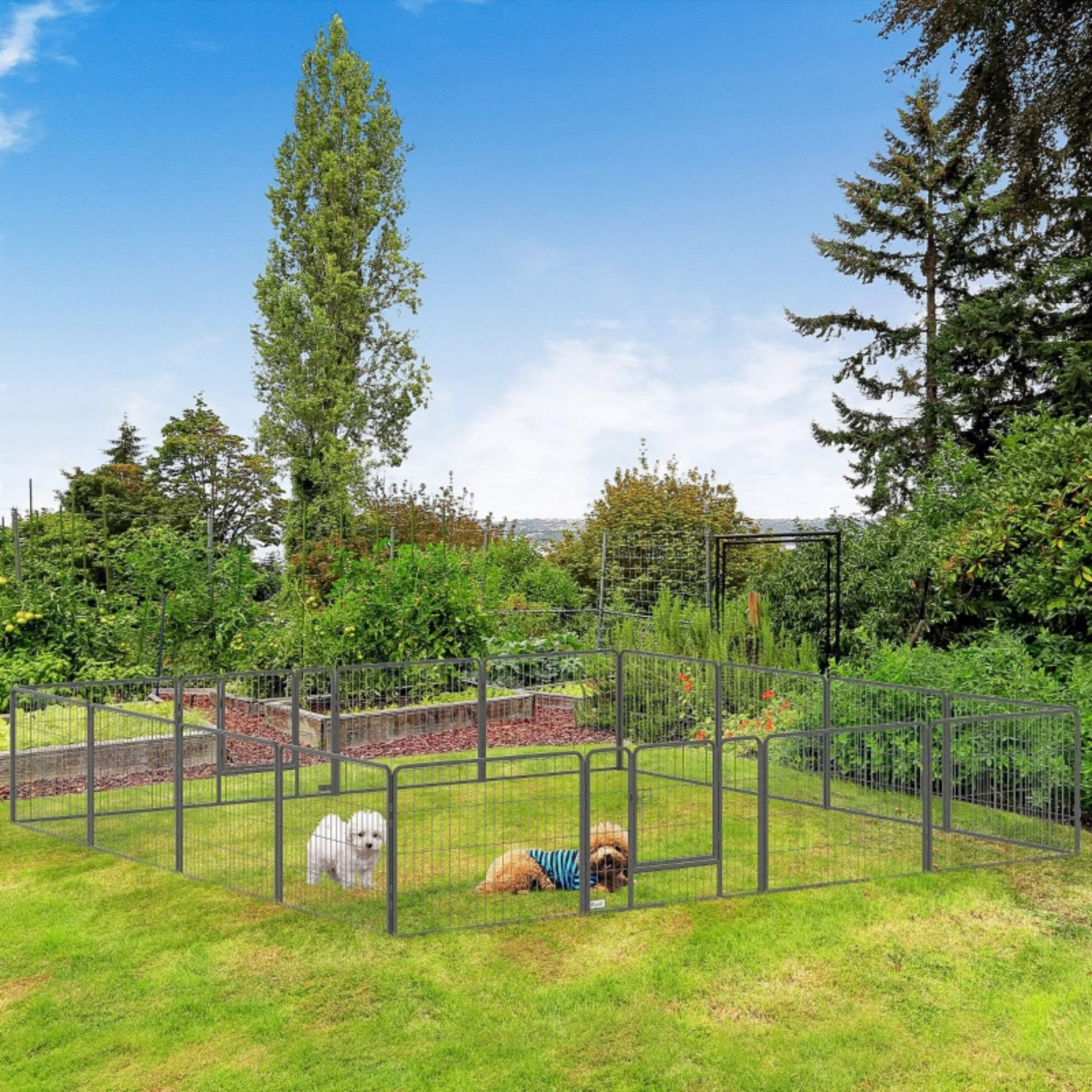 Stalen hondenkennel XXL – 320 x 320 x 60 cm puppyren