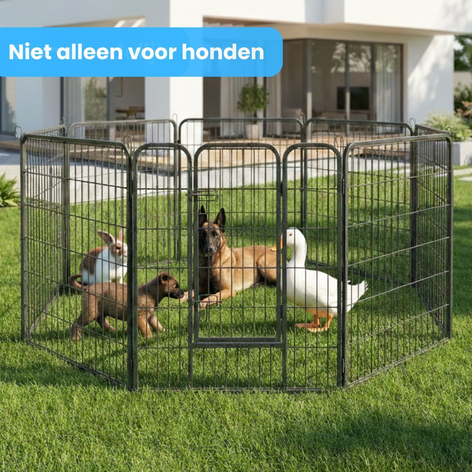 Ruime stalen puppyren van 100 cm hoog XXL – ideaal als ruime hondenren of kennel | Zenzee met diverse dieren binnenin buiten op gras