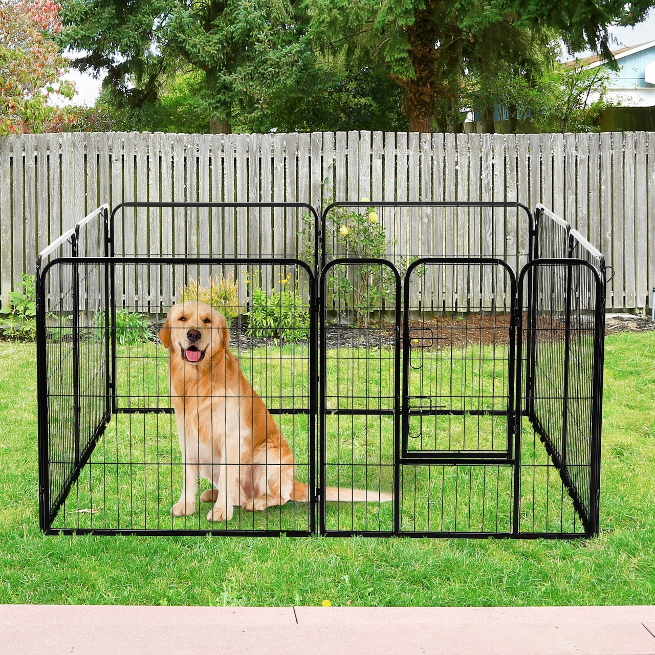 Ruime stalen puppyren van 80 cm hoog XL – ideaal als ruime hondenren of kennel | Zenzee