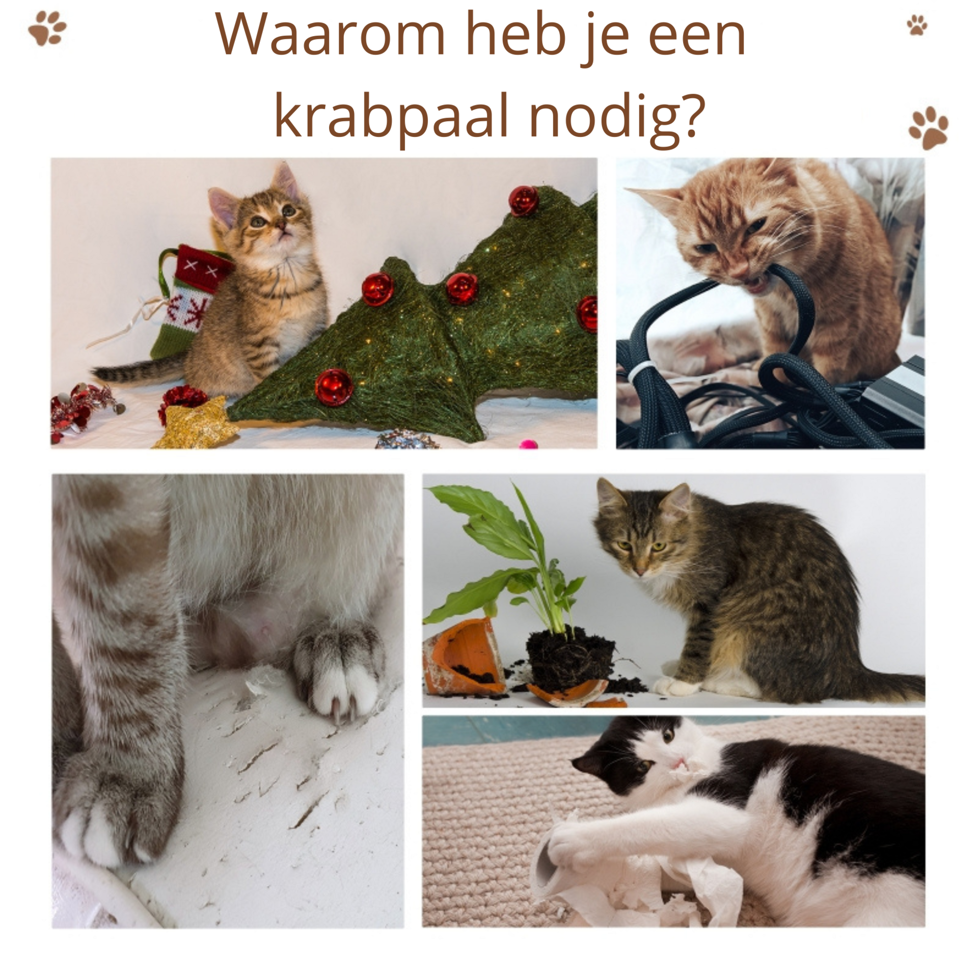 Grijze krabpaal met kattenhuis – 67×38,5×114 cm, sisalpalen en meerdere verdiepingen