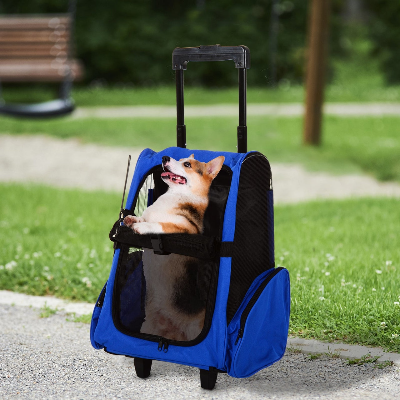 Hondenreismand en rugzak met wielen – comfortabel reizen voor je hond