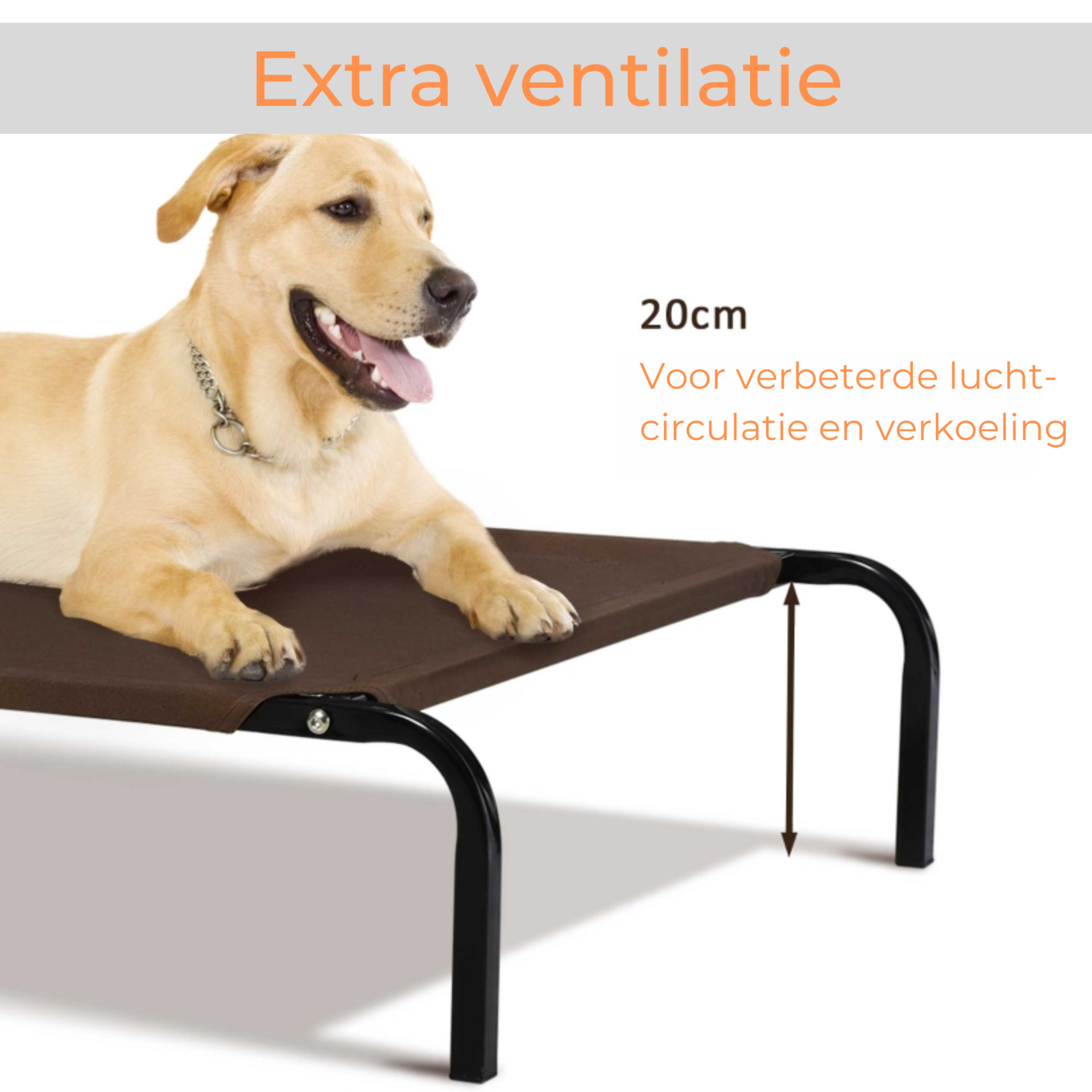XL hondenbed hondenstretcher met 2 verwisselbare overtrekhoezen grijs/bruin