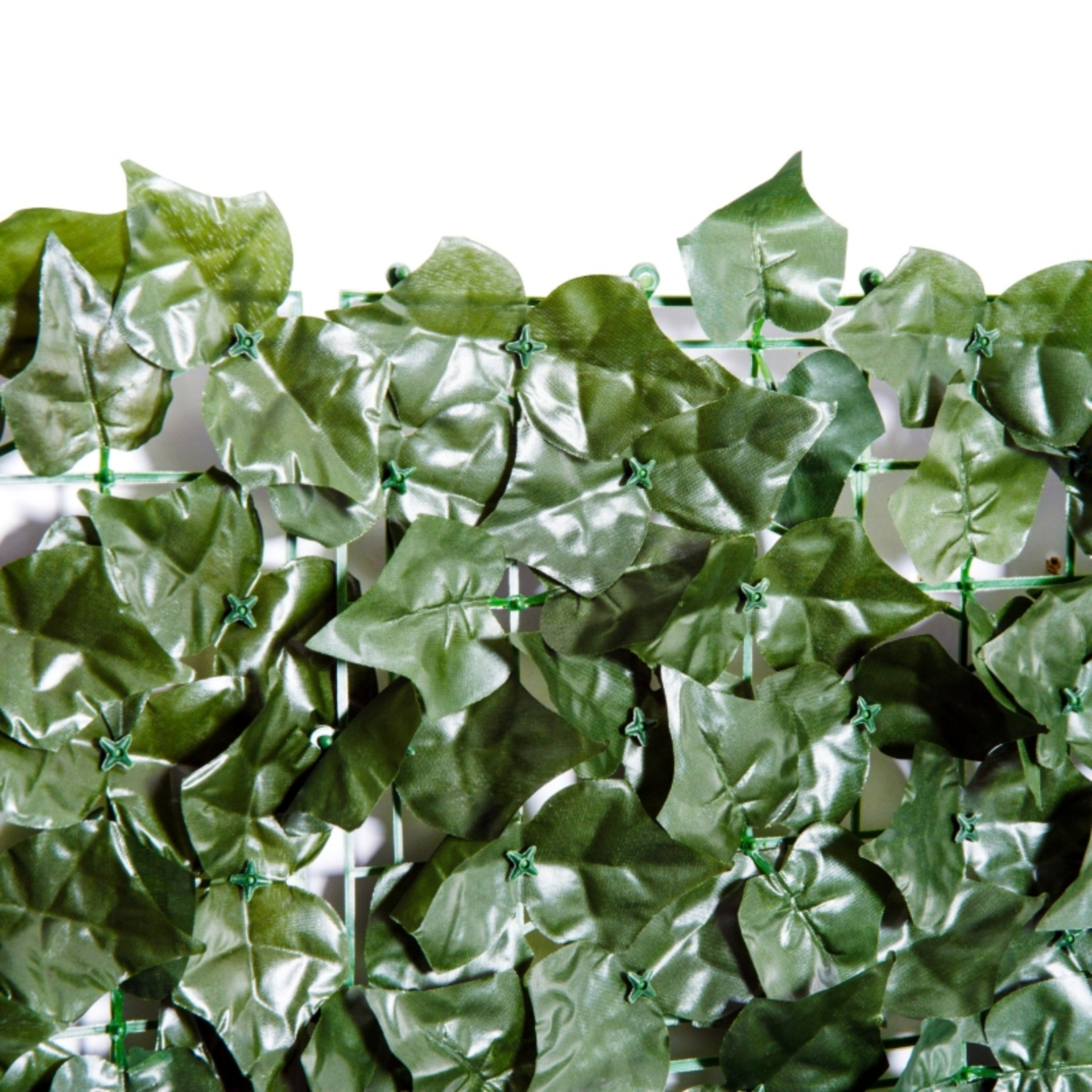 Kunsthaag klimop 300x100 cm – compact zichtbreeknet met natuurlijke look
