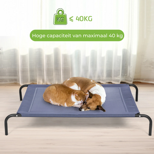 Comfortabel honden ligbed xl 110x68 cm met stevig frame en ademend doek, geschikt tot 40 kg, met kat en hond erop