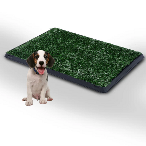 Puppytoilet trainingsmat 63x51x6 cm waterafstotend voor effectieve zindelijkheidstraining