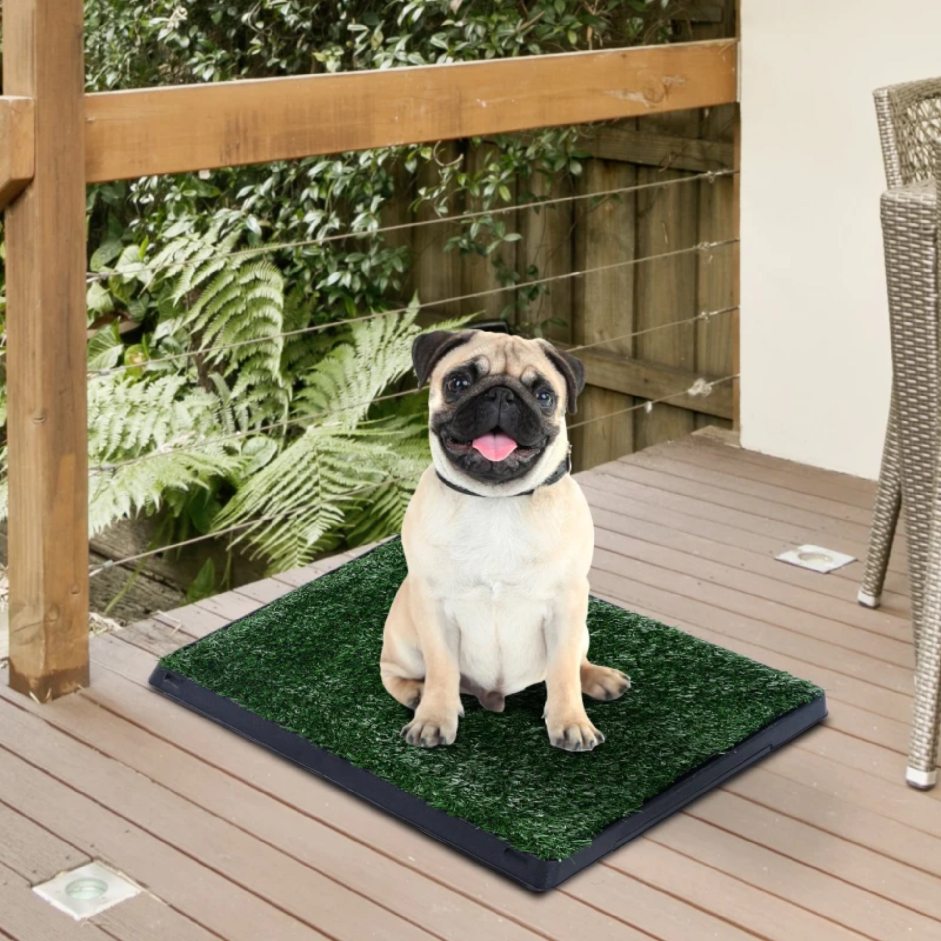 Puppytoilet trainingsmat 63x51x6 cm waterafstotend voor effectieve zindelijkheidstraining
