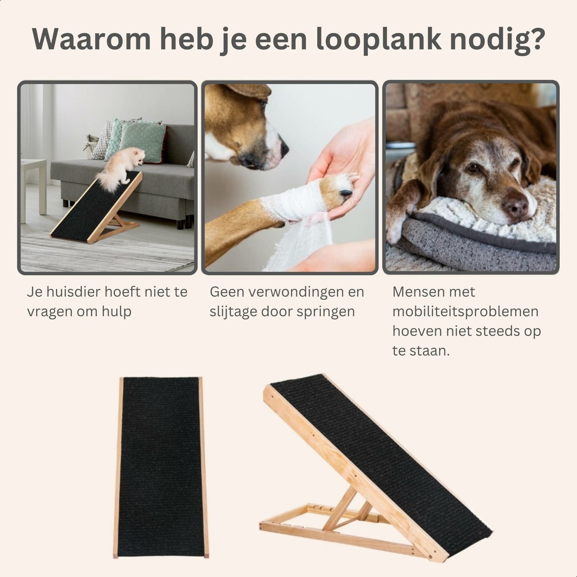 Verstelbare hondenloopplank 90x40x61 cm met antislip en stevige constructie