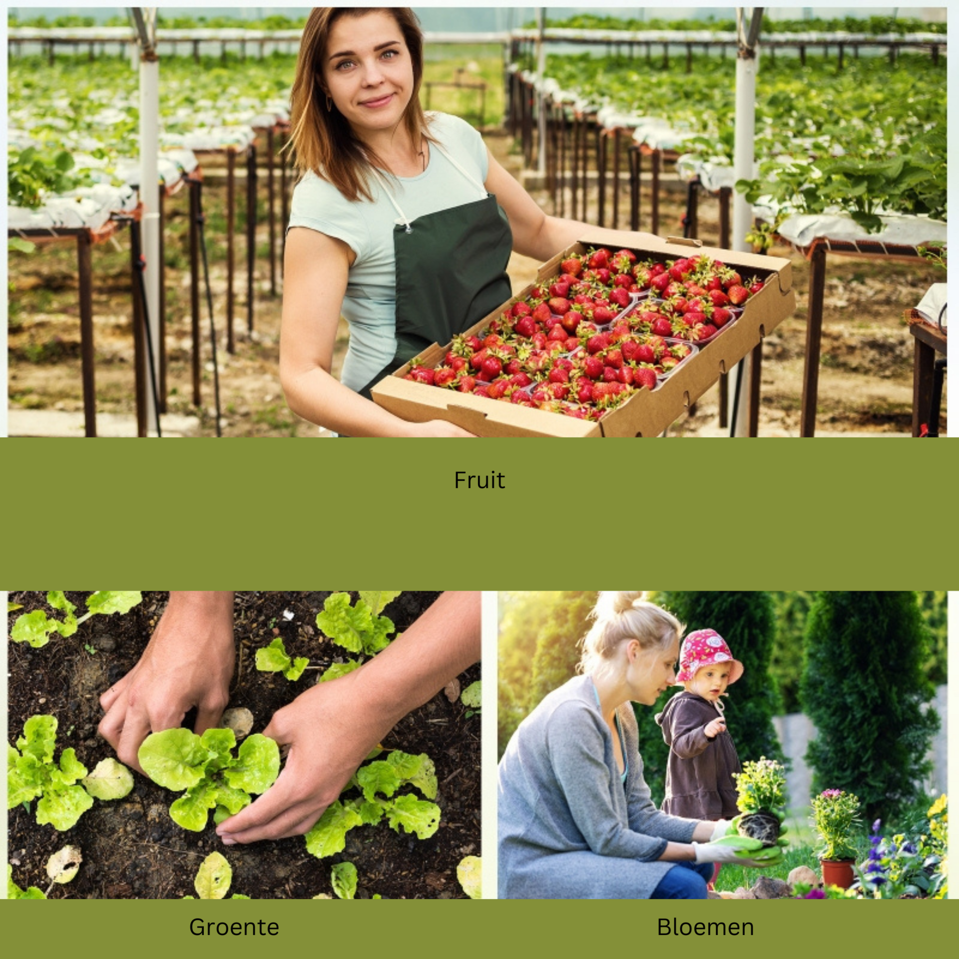 Foliekas 180 x 90 x 90 cm – Groene compacte broeikas voor tuin