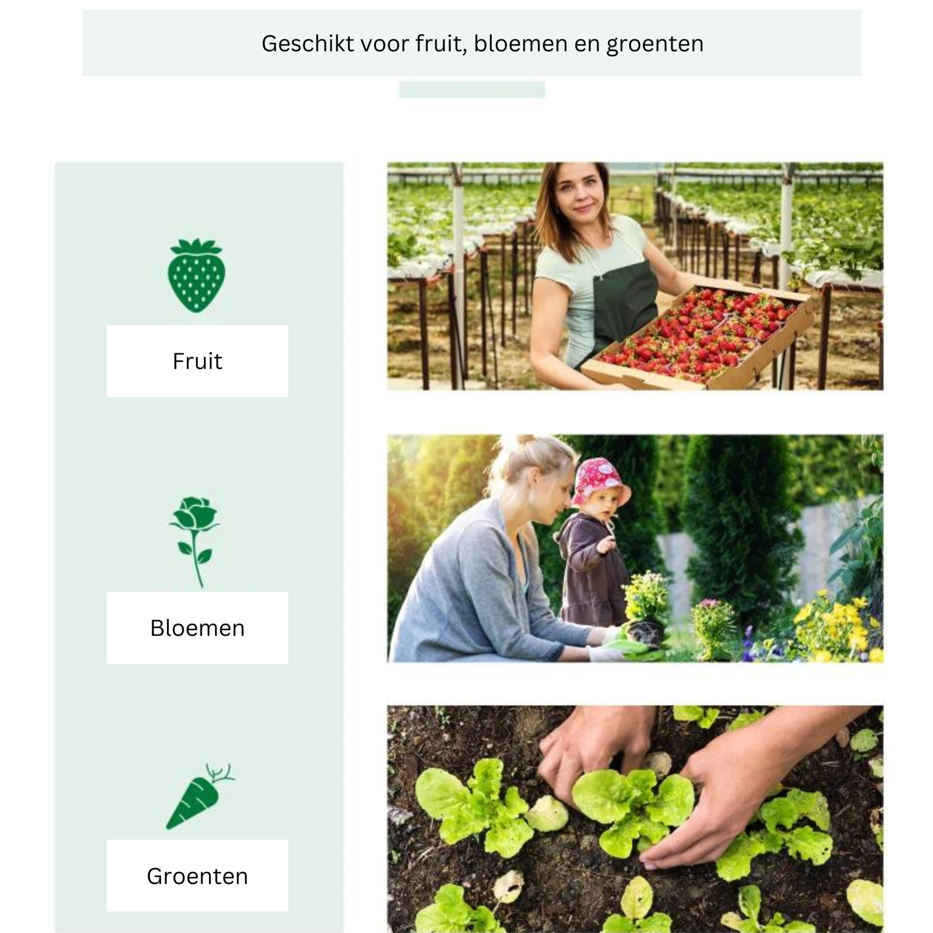 Tunnelkas wit 120x60x60 cm voor zaaien, stekken en plantenbescherming