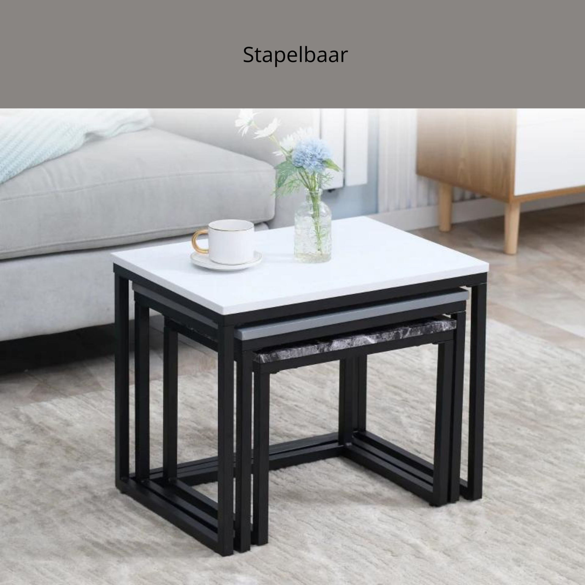 3-delige salontafel set met metalen frame en modern design