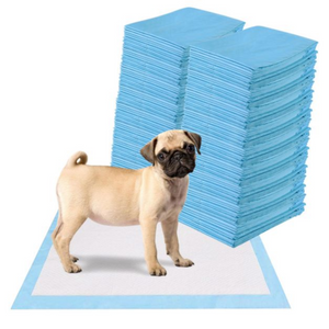 Puppy training pads 60x60 cm – 200 stuks geurvrije plasmatjes met absorberend, hygiënisch ontwerp voor zindelijkheidstraining