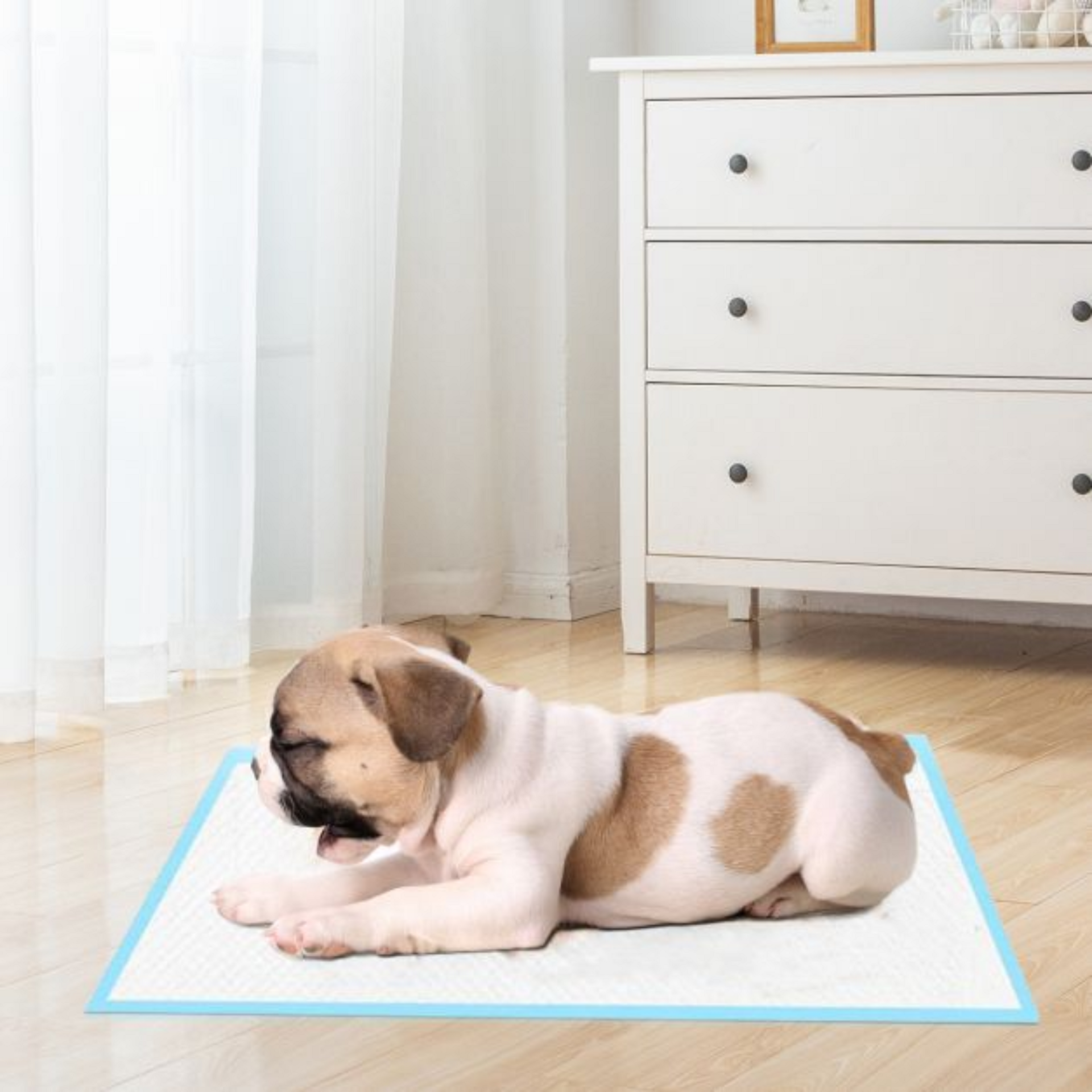 Puppy training pads 60x60 cm – 200 stuks geurvrije plasmatjes
