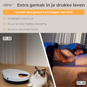 UBpet F10 automatische voerbak – met koeling en 5 compartimenten naast slapende vrouw en kat in de woonkamer