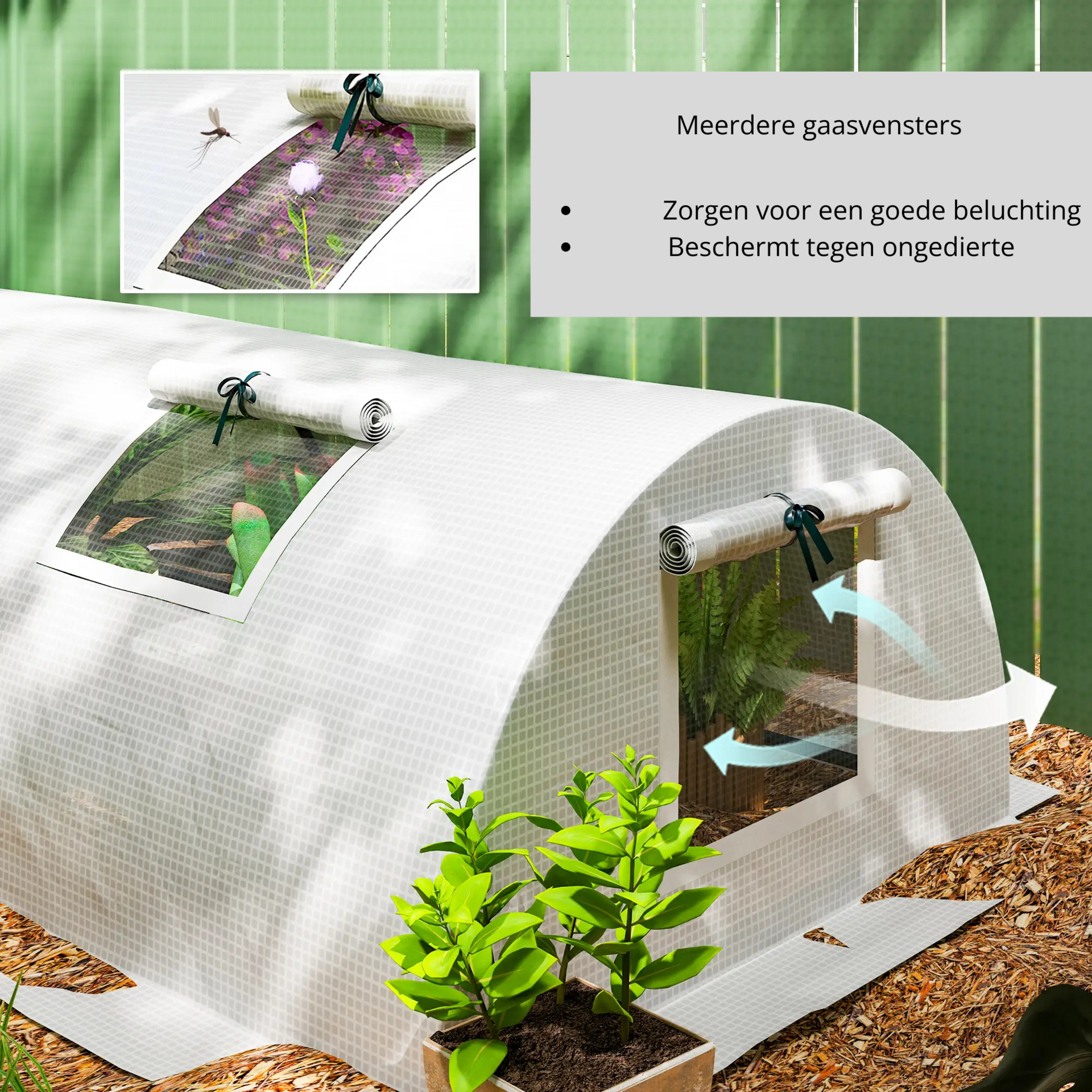 Witte foliekas 3 meter – bescherm jonge planten tegen kou en wind