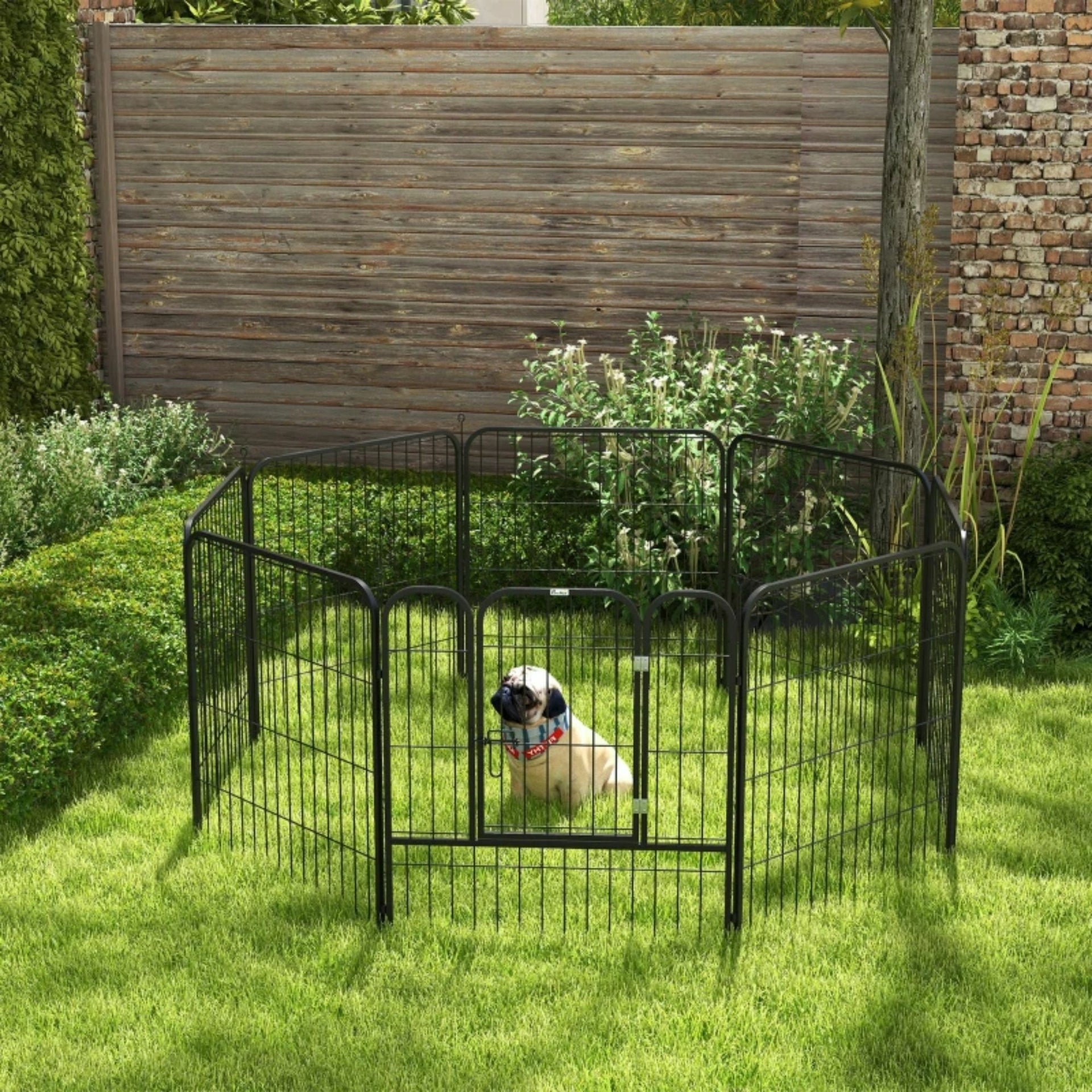Ruime stalen puppyren van 60 cm hoog L – ideaal als ruime hondenren of kennel | Zenzee