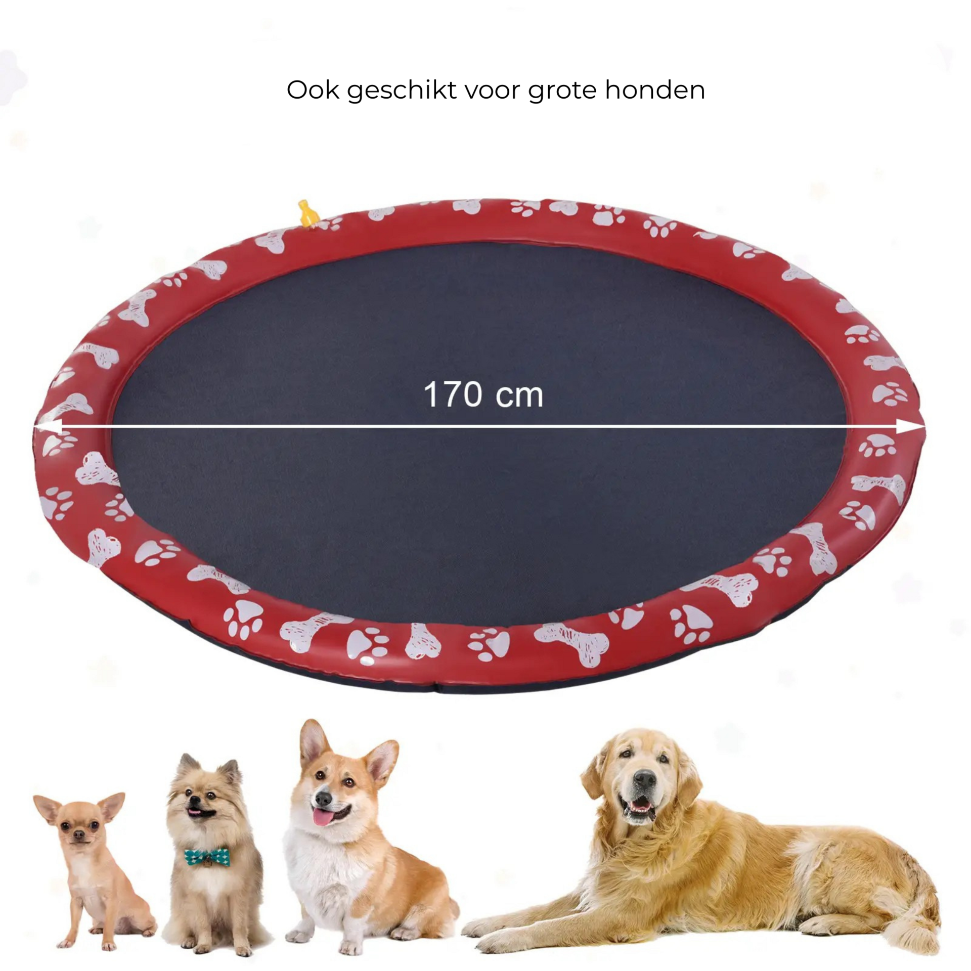 Opvouwbaar hondenzwembad 170cm voor honden speelplezier en verkoeling