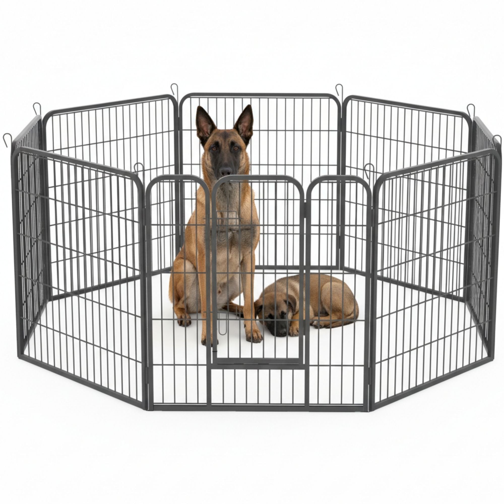 Ruime stalen puppyren van 80 cm hoog XL – ideaal als ruime hondenren met toegangsluik en veilig metalen ontwerp | Zenzee