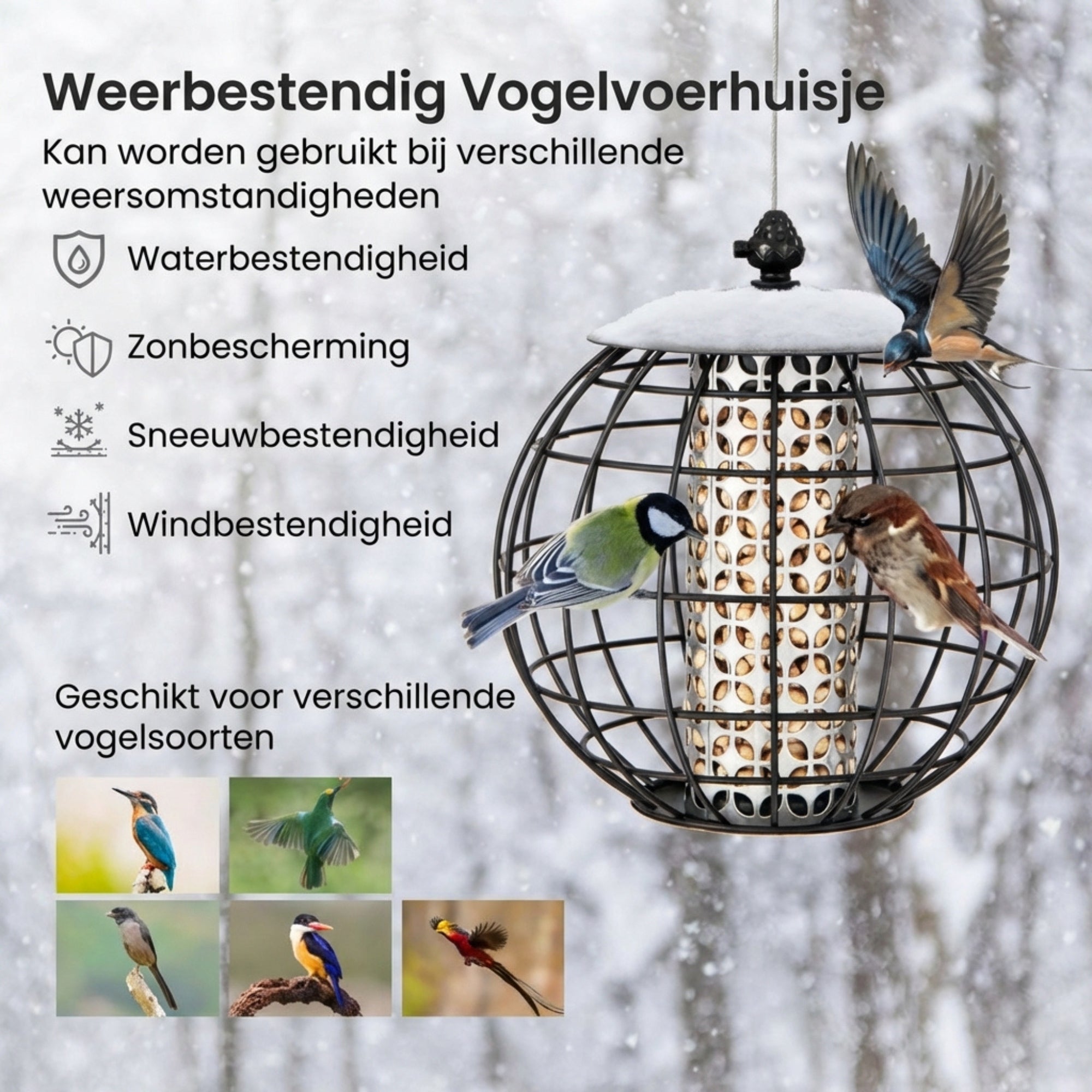 Voederhuisje voor vogels – hangende voedersilo voor tuinvogels eekhoornveilig, weerbestendig en geschikt voor diverse vogelsoorten