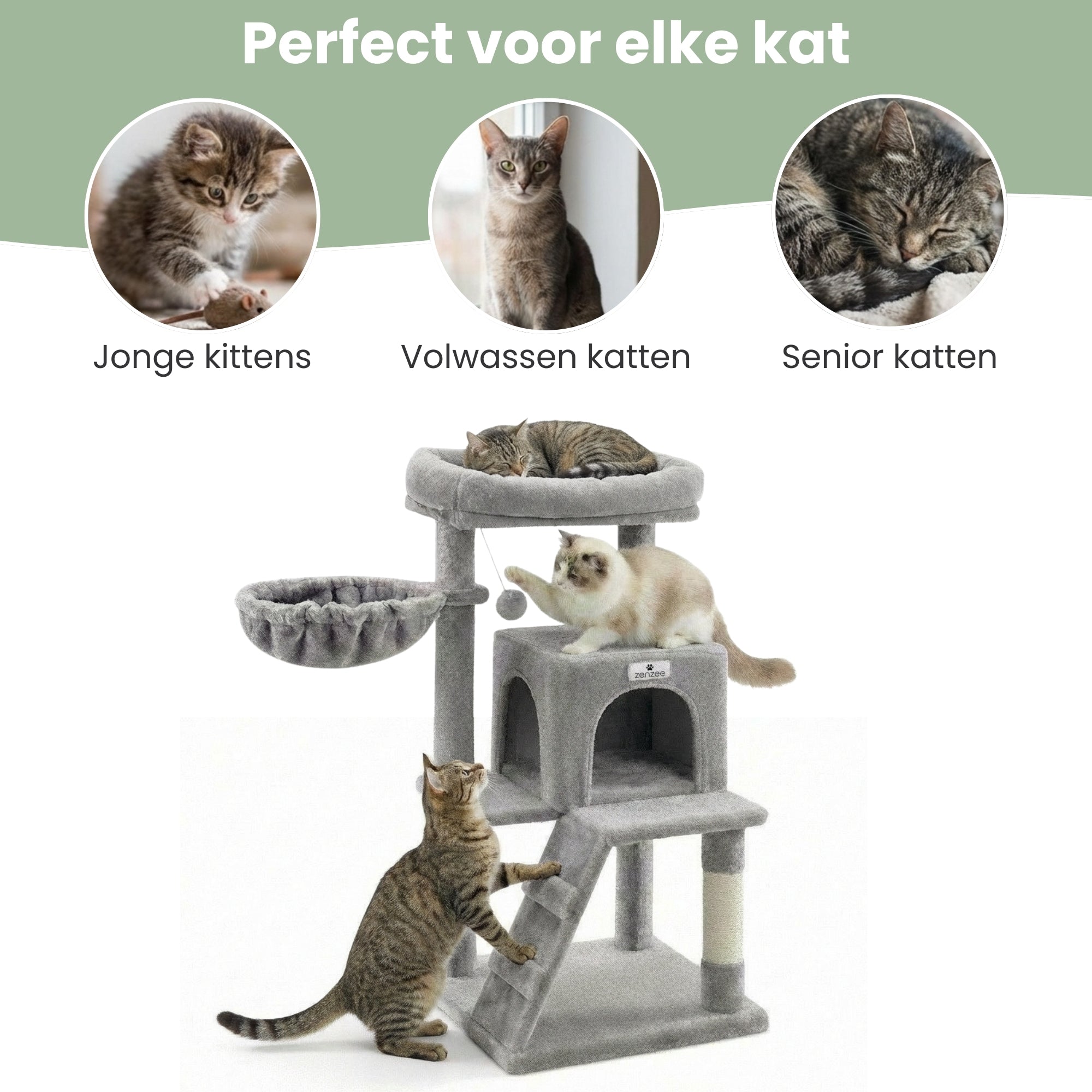 Krabpaal – Ook voor kittens en senior katten – Compact- Modern - Lichtgrijs – 49 x49 x 97 cm in galerijpositie 1 met speelplatforms en kattenhuis