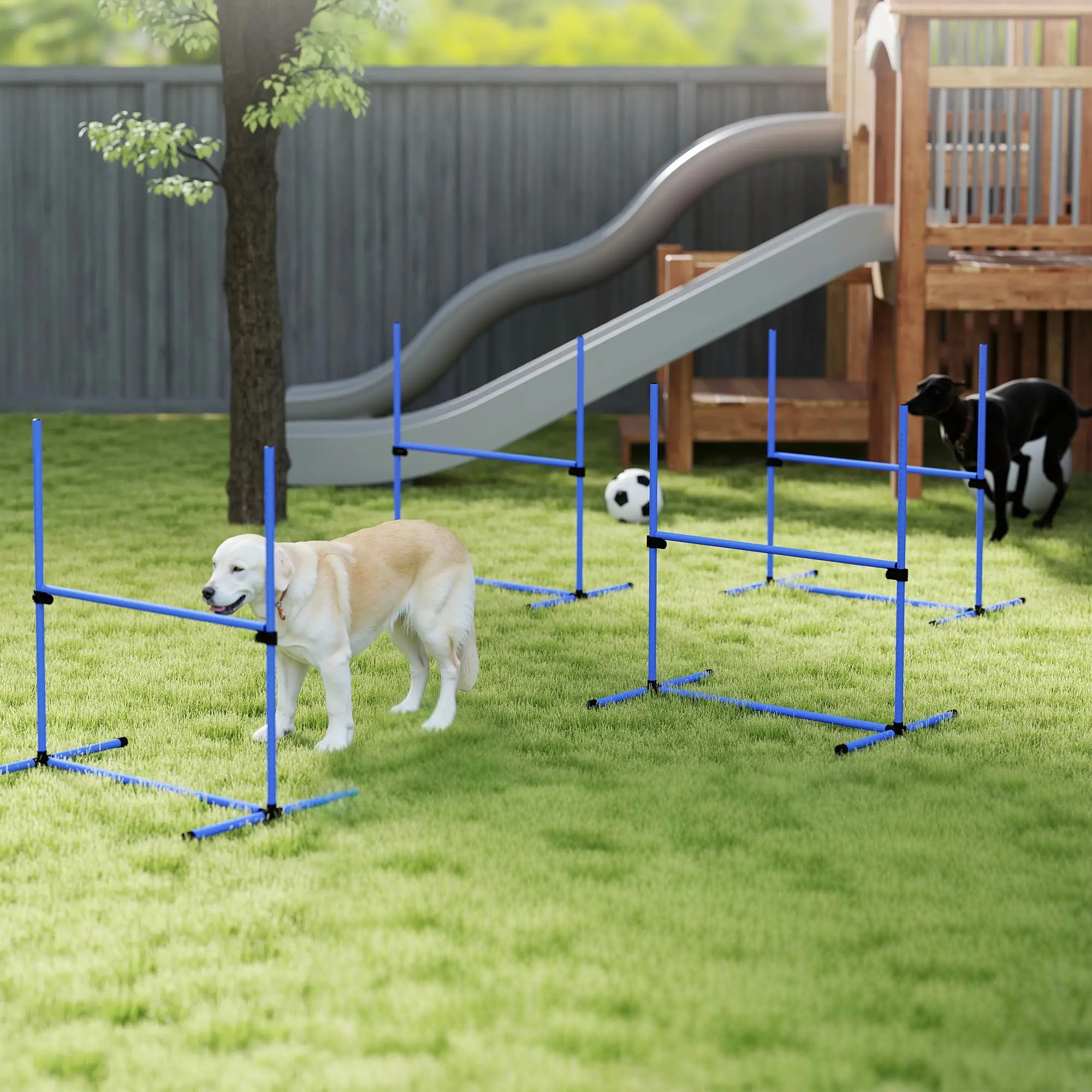 Honden agility set 4 delig met verstelbare hindernissen en springring in tuin met spelende honden en groene grasmat