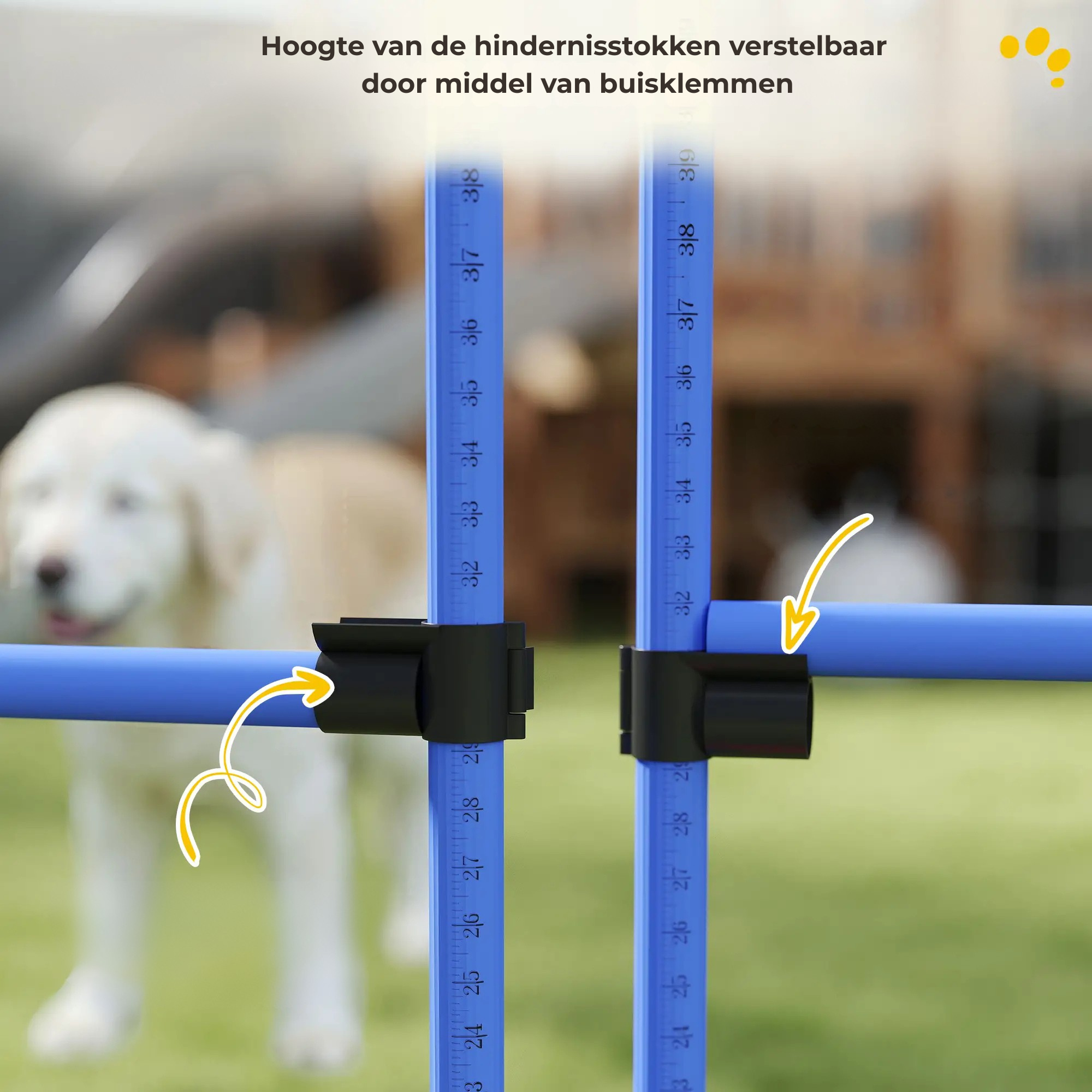 Honden agility set 4 delig met verstelbare hindernissen en springring met makkelijk verstelbare hoogte middels buisklemmen