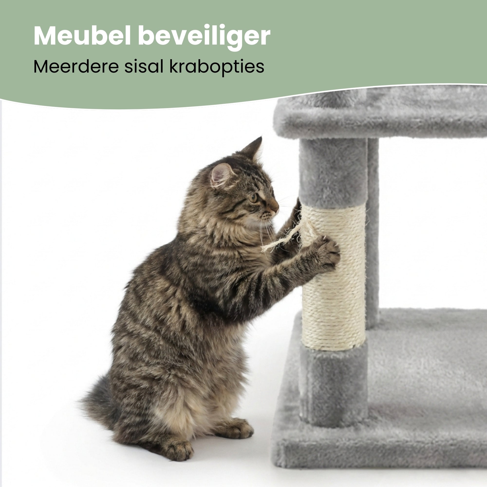 Krabpaal – Ook voor kittens en senior katten – Compact- Modern - Lichtgrijs – 49 x49 x 97 cm in galeriepositie 1 met sisal krabpaal en kat