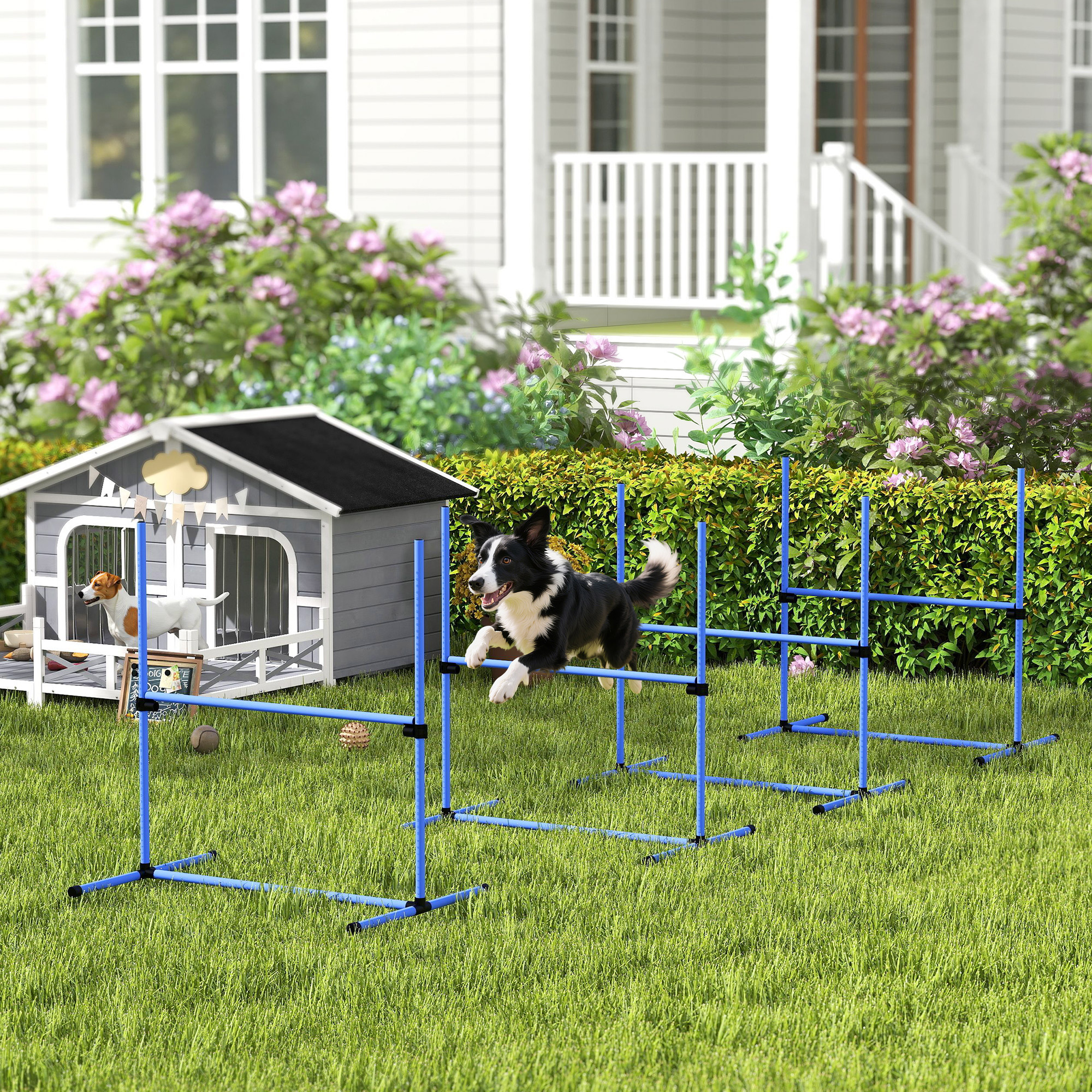 Honden agility set 4 delig met verstelbare hindernissen en springring voor behendigheidstraining in de tuin