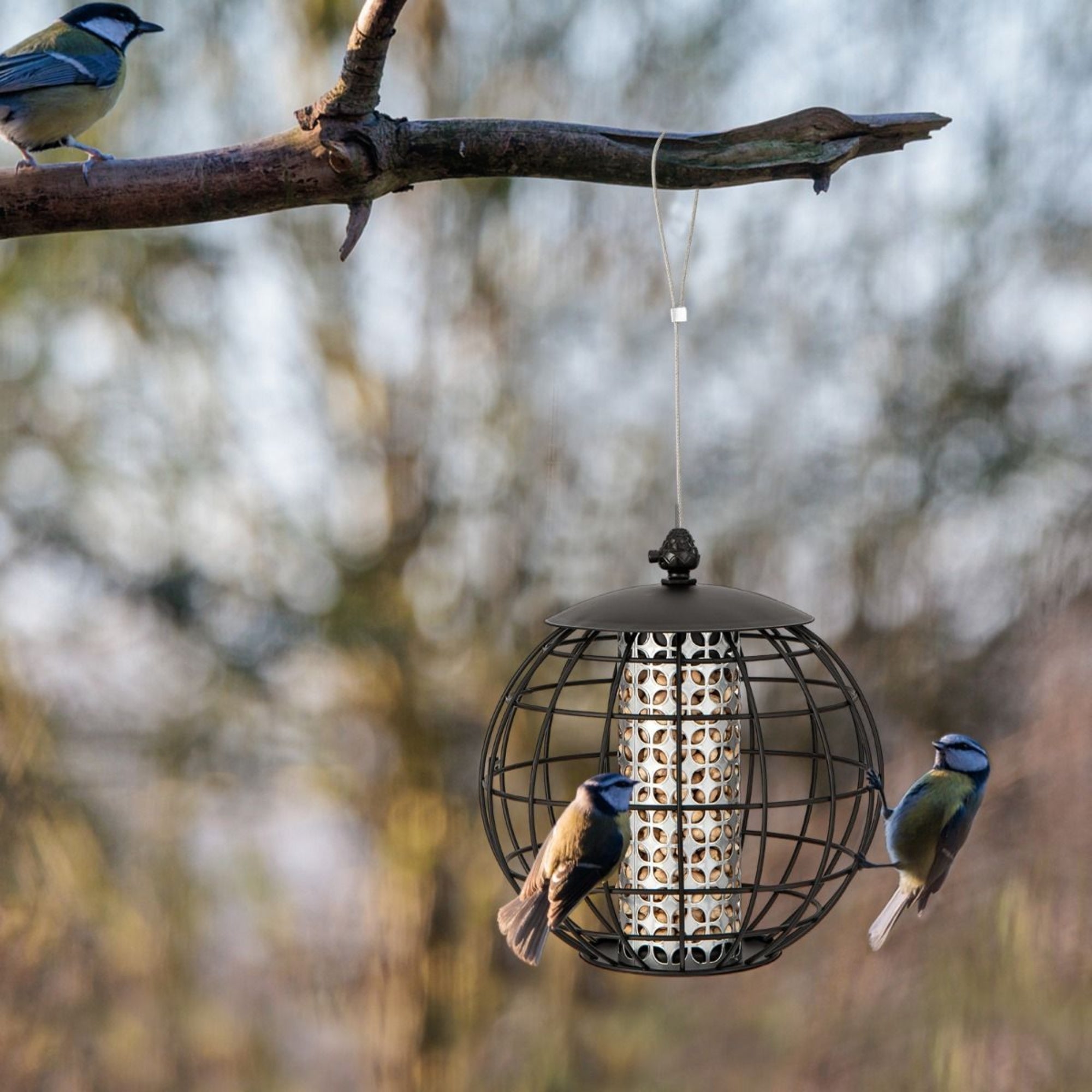 Voederhuisje voor vogels – hangende voedersilo voor tuinvogels eekhoornveilig met metalen rooster en ideaal voor kleine vogels